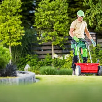 Gartenpflege Rasenmähen Referenzen