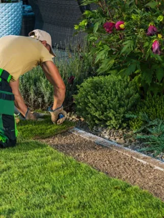 Gartenbau/Grünpflege Referenzen